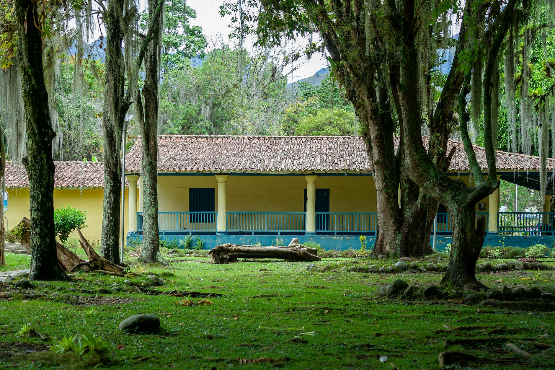 house in forest